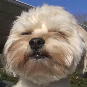 Meet your Posher, Cynthia